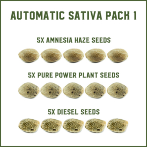 Semi Autofiorenti Sativa Pack