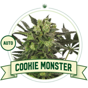 Cookie Monster Automatic