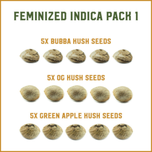 Semi Femminizzati Indica Pack